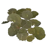 WoodlandsObjects