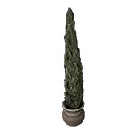 BOSPottedTree