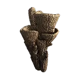 CaveCoral