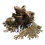 CaveCoralGroup