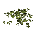 ChaosCrawlingLeaves