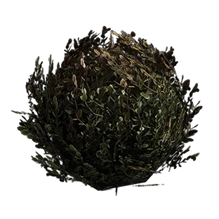 MonasteryDecayingBush