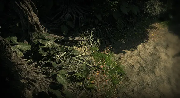 Jungle Clearing Hideout preview